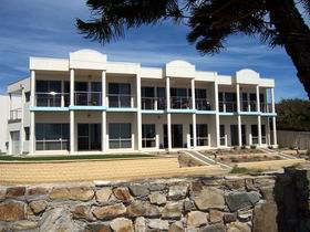 Christies Seahorse - Wagga Wagga Accommodation 0