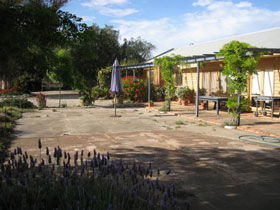 Peechabella Vineyards Bed & Breakfast - Accommodation Airlie Beach 0
