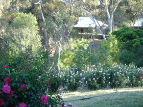 Battunga Bed & Breakfast - Mackay Tourism 0
