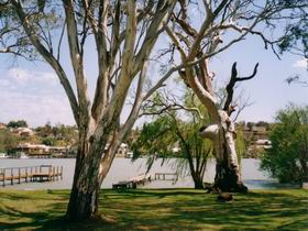 Shack 31 Bolto Reserve - Accommodation 4U 0