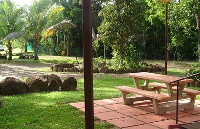 Virginia Heliconia Farm - WA Accommodation 0