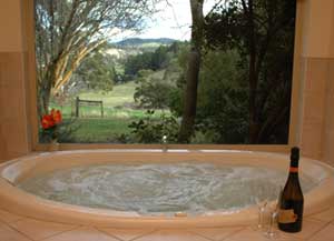 Adelaide Hills Country Cottages - The Nest - Holiday Sydney 0