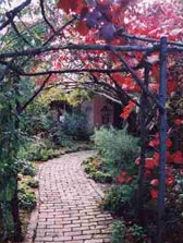 Adelaide Hills Country Cottages - The Nest - Holiday Sydney 2