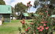 Derwent Bridge Chalets And Studios - thumb 0