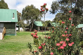 Derwent Bridge Chalets And Studios - WA Accommodation 0