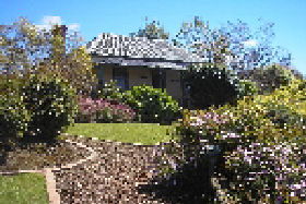 Camellia Cottage At Maple Hill - Wagga Wagga Accommodation 0