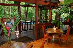 Daintree Wilderness Lodge - Wagga Wagga Accommodation 0
