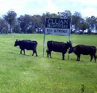 Cluan Homestead - The Managers Residence - Brisbane Tourism