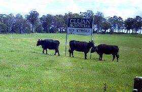 Cluan Homestead - The Managers Residence - Brisbane Tourism 0