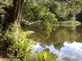 Weldborough Camping Ground - Whitsundays Tourism 0