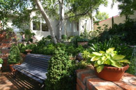 Topiary Haven - Accommodation QLD 0