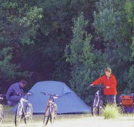 Maria Island Camping Ground - Holiday Sydney