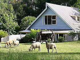 Hide-Away Cottage Retreat - Accommodation Perth 0