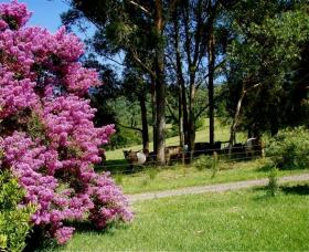 Figlea Cottages - Accommodation Airlie Beach 0