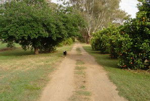 Murray Bank Holiday Units And Yabby Farm - Townsville Tourism 5