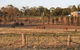 Junee Motor Inn - thumb 2