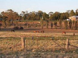 Junee Motor Inn - Holiday Sydney 2