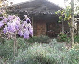 Barney Creek Vineyard Cottages - Byron Bay Accommodation 3