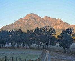 Barney Creek Vineyard Cottages - Byron Bay Accommodation 5