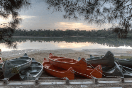 Boambee Bay Resort - Accommodation Australia 5