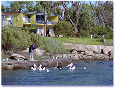Almonta Holiday Apartments - Carnarvon Accommodation 0