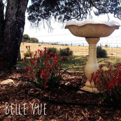 Belle Vue Studio - Accommodation Broken Hill 1