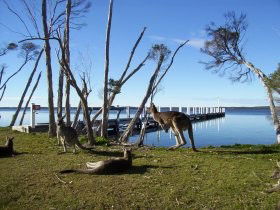Waterfront Retreat At Wattle Point Image