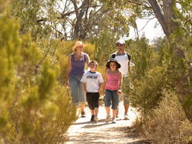 Pepper Tree Cottage - WA Accommodation 0