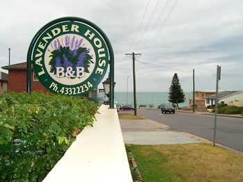 Lavender House B&B - Townsville Tourism 18