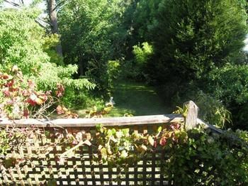 Leura Lady - YWait Travel 8
