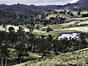 28 Gates Farmstay And Fishery - Byron Bay Accommodation 1