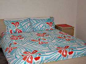 Bicheno Holiday Rentals - 39 Morrison Street - Accommodation Australia 0