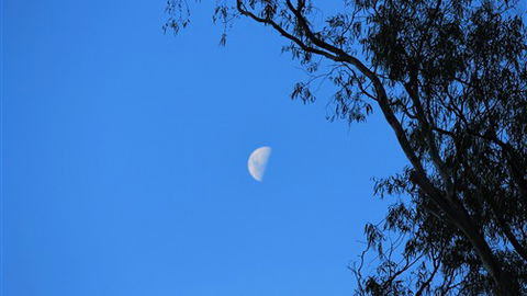 Gentle Annie Caravan And Camping Reserve - Accommodation Australia 4