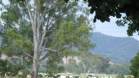 Gentle Annie Caravan And Camping Reserve - Accommodation Australia 3