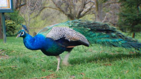 Jubilee Lake Holiday Park - WA Accommodation 6