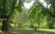 Jubilee Lake Holiday Park - thumb 5