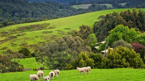Johanna River Farm And Self Contained Cottages - Accommodation Australia 1