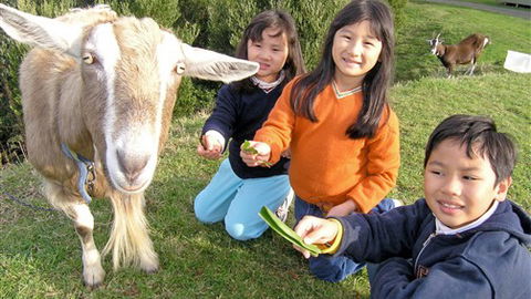 Johanna River Farm And Self Contained Cottages - Accommodation Australia 0