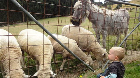 Johanna River Farm And Self Contained Cottages - Accommodation Australia 3
