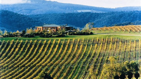 Yering Gorge Cottages - Holiday Sydney 1