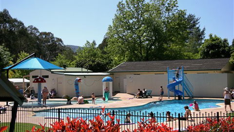 Porepunkah Pines Holiday Park - Townsville Tourism 0