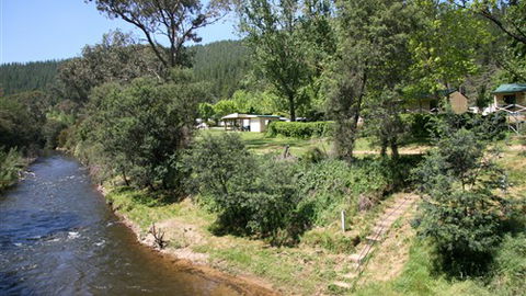 Porepunkah Pines Holiday Park - Townsville Tourism 3