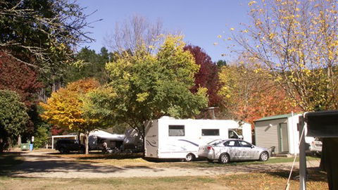 Porepunkah Pines Holiday Park - Townsville Tourism 6