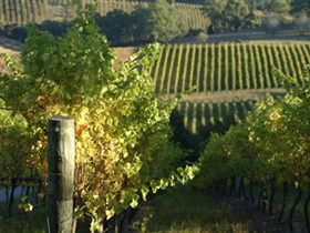 Upper Sturt SA Byron Bay Accommodation