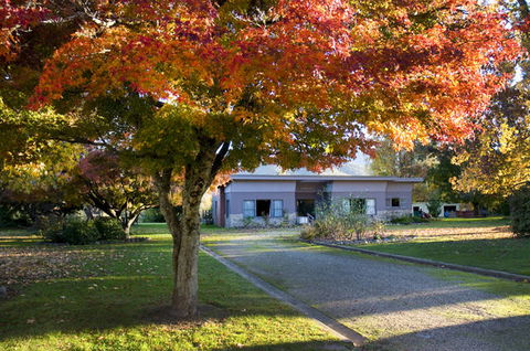 Buffalo Motel And Country Retreat - YWait Travel 0