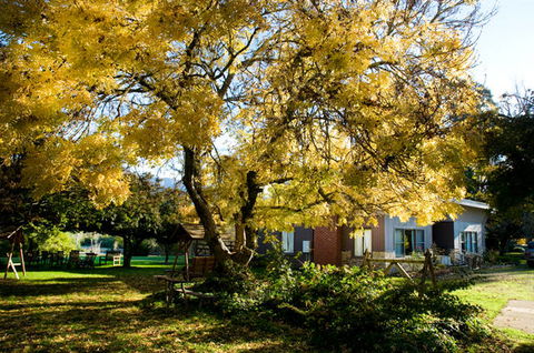 Buffalo Motel And Country Retreat - YWait Travel 5