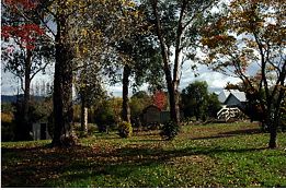 Buffalo Motel And Country Retreat - YWait Travel 8
