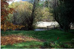 Buffalo Motel And Country Retreat - YWait Travel 9