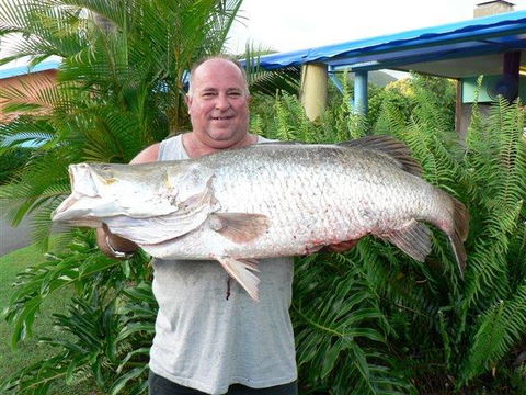 Conway Beach Tourist Park Whitsunday - YWait Travel 4