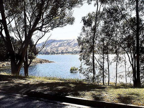 Ibis Styles Albury Lake Hume Resort - Wagga Wagga Accommodation 1